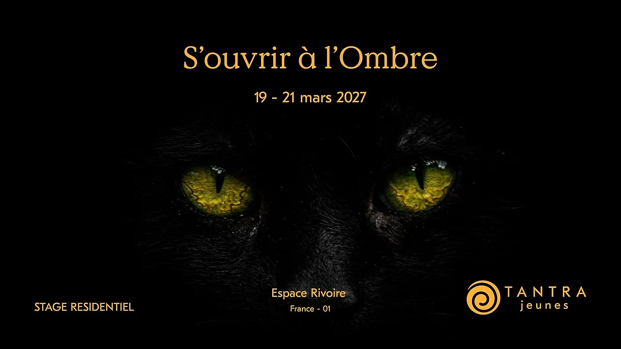 Affiche de S'ouvrir à l'Ombre