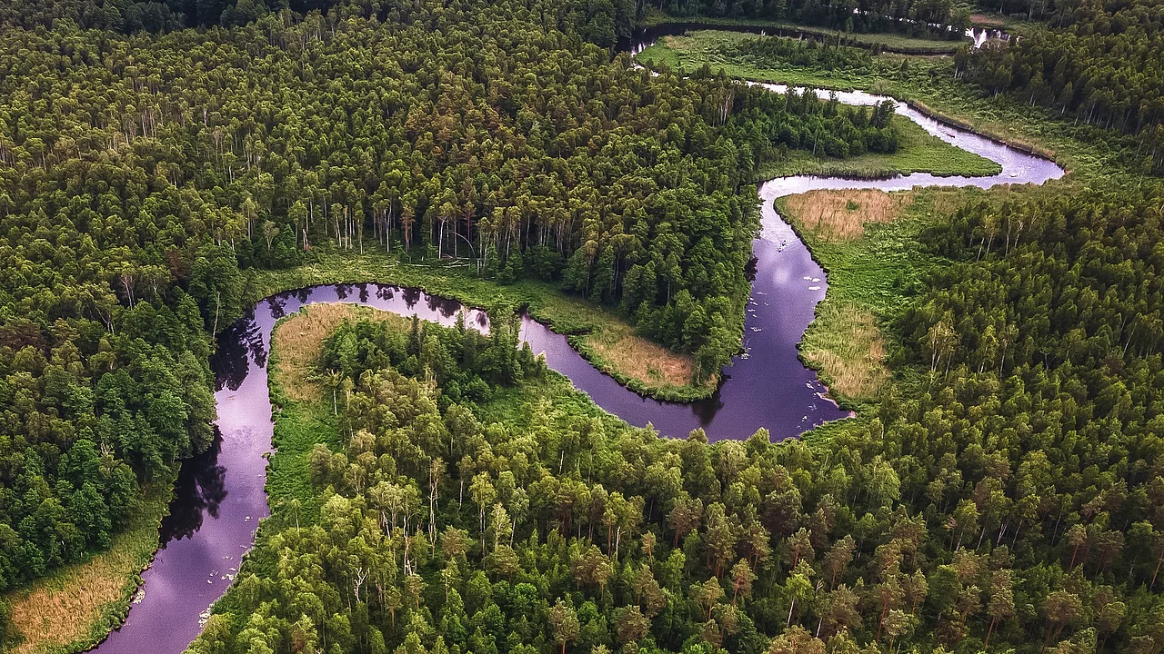 Une rivière qui serpente